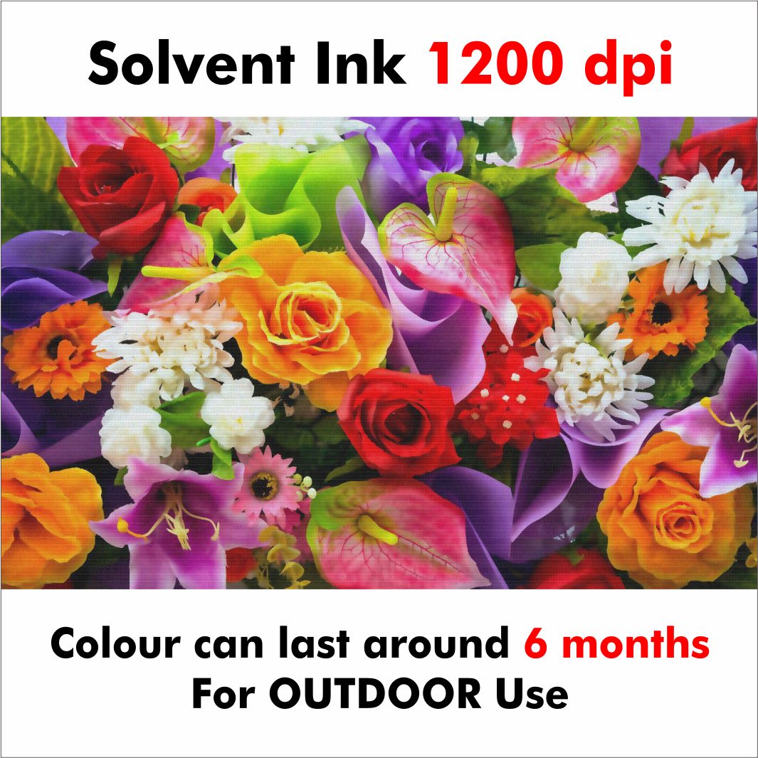 Solvent Ink 1200 Dpi