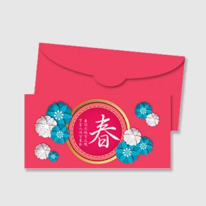 Standard Money Pocket